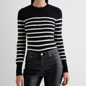 Express Silky Soft Fitted Striped Crew Neck Sweater